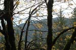 2008_10_30_Mult_Falls_12mi_0520