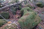 2008_10_30_Mult_Falls_12mi_0522