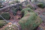 2008_10_30_Mult_Falls_12mi_0523
