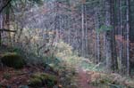 2008_10_30_Mult_Falls_12mi_0524