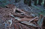 2008_10_30_Mult_Falls_12mi_0529