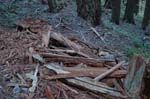 2008_10_30_Mult_Falls_12mi_0530