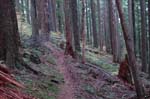 2008_10_30_Mult_Falls_12mi_0531