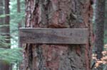 2008_10_30_Mult_Falls_12mi_0532