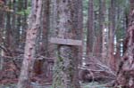 2008_10_30_Mult_Falls_12mi_0534