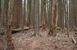 2008_10_30_Mult_Falls_12mi_0535