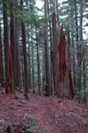 2008_10_30_Mult_Falls_12mi_0538