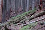 2008_10_30_Mult_Falls_12mi_0539