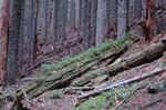 2008_10_30_Mult_Falls_12mi_0540