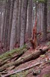 2008_10_30_Mult_Falls_12mi_0541