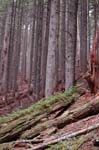 2008_10_30_Mult_Falls_12mi_0542