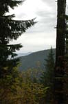 2008_10_30_Mult_Falls_12mi_0551