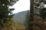 2008_10_30_Mult_Falls_12mi_0553