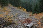 2008_10_30_Mult_Falls_12mi_0554