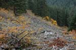 2008_10_30_Mult_Falls_12mi_0555