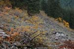 2008_10_30_Mult_Falls_12mi_0556
