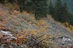 2008_10_30_Mult_Falls_12mi_0557