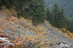 2008_10_30_Mult_Falls_12mi_0558