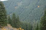 2008_10_30_Mult_Falls_12mi_0560