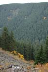 2008_10_30_Mult_Falls_12mi_0561