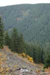 2008_10_30_Mult_Falls_12mi_0562