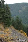 2008_10_30_Mult_Falls_12mi_0563