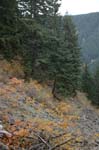 2008_10_30_Mult_Falls_12mi_0564