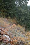 2008_10_30_Mult_Falls_12mi_0565