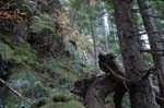 2008_10_30_Mult_Falls_12mi_0569