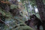 2008_10_30_Mult_Falls_12mi_0570