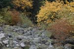 2008_10_30_Mult_Falls_12mi_0573