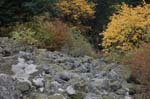 2008_10_30_Mult_Falls_12mi_0574