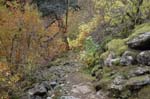 2008_10_30_Mult_Falls_12mi_0575