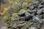 2008_10_30_Mult_Falls_12mi_0576