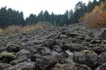 2008_10_30_Mult_Falls_12mi_0577