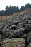 2008_10_30_Mult_Falls_12mi_0578