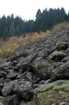 2008_10_30_Mult_Falls_12mi_0579