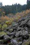 2008_10_30_Mult_Falls_12mi_0580