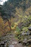 2008_10_30_Mult_Falls_12mi_0582