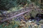 2008_10_30_Mult_Falls_12mi_0589