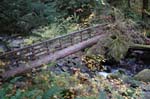 2008_10_30_Mult_Falls_12mi_0590