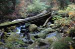 2008_10_30_Mult_Falls_12mi_0598