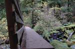 2008_10_30_Mult_Falls_12mi_0602