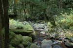 2008_10_30_Mult_Falls_12mi_0605