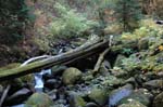 2008_10_30_Mult_Falls_12mi_0606