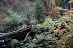 2008_10_30_Mult_Falls_12mi_0610