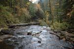 2008_10_30_Mult_Falls_12mi_0614
