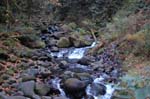 2008_10_30_Mult_Falls_12mi_0618