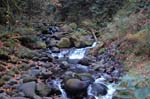 2008_10_30_Mult_Falls_12mi_0619
