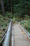 2008_10_30_Mult_Falls_12mi_0624